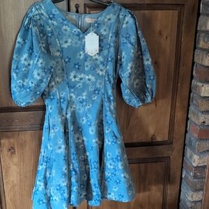 Ivy City Co Blue and White Puff Sleeve Sundress